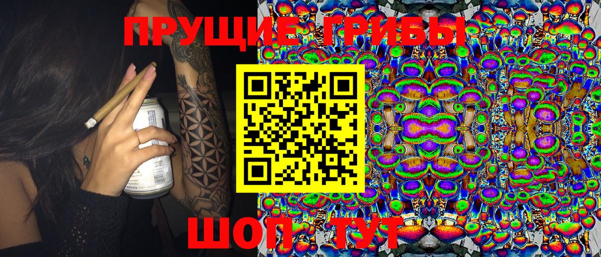 Галлюциногенные грибы Psilocybine cubensis  Галлюциногенные грибы GOLDEN TEACHER  Коломна  Вход с VPN 